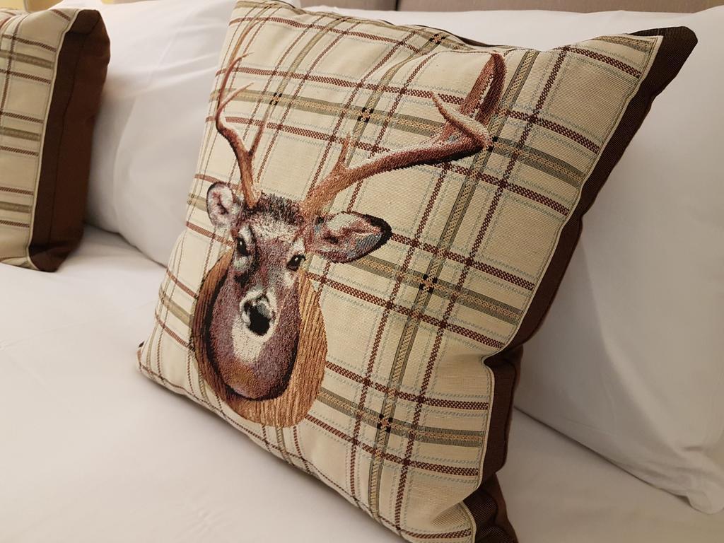 The Lion Hotel Brewood エクステリア 写真